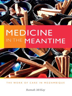 cover image of Medicine in the Meantime